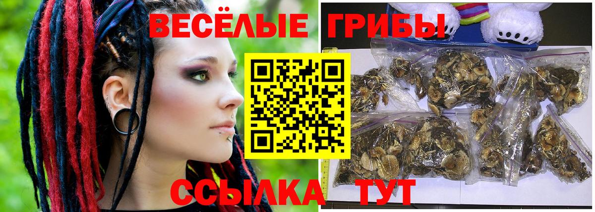 Галлюциногенные грибы мухоморы  Псилоцибиновые грибы мицелий  Вход с VPN  Воткинск 